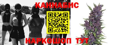 гашик Будённовск