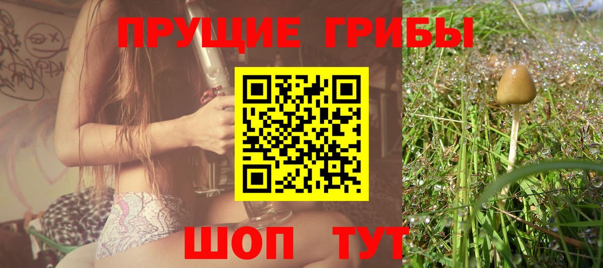 Галлюциногенные грибы Psilocybe  Вход с VPN  Галлюциногенные грибы мицелий  где продают наркотики  Реж 