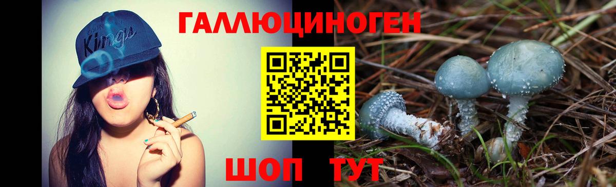 Псилоцибиновые грибы прущие грибы Реж